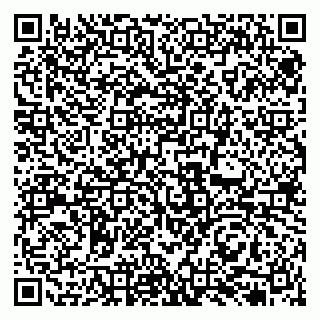 vCard 79131174005