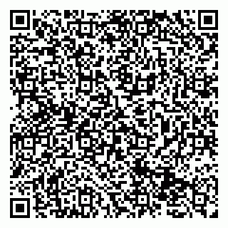vCard 79131174009