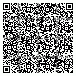 vCard 79131174131