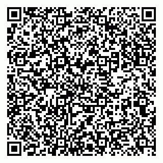 vCard 79131174151