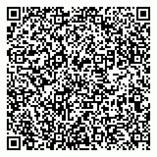 vCard 79131174294