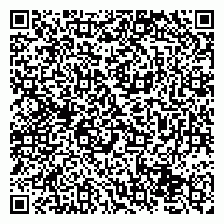 vCard 79131174300