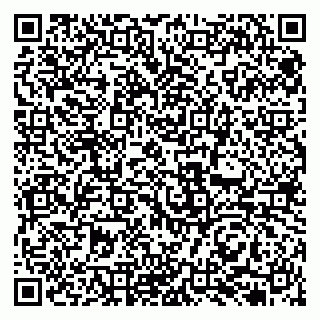 vCard 79131175111