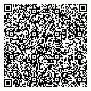 vCard 79131175294