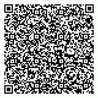 vCard 79131175331