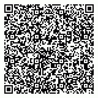 vCard 79131175729
