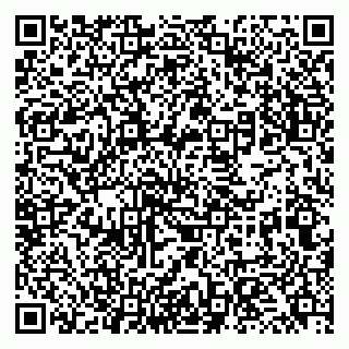 vCard 79131175813