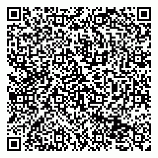 vCard 79131176082
