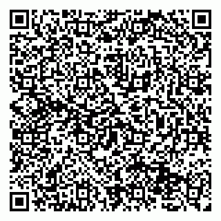 vCard 79131176294