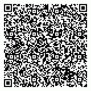 vCard 79131176321