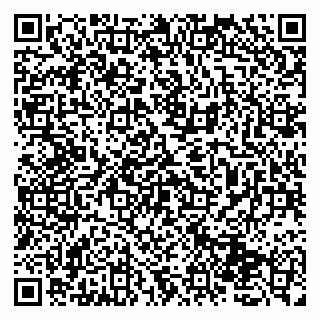 vCard 79131176331