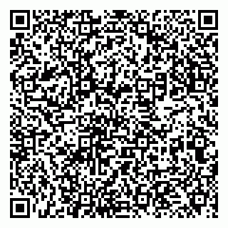vCard 79131176809