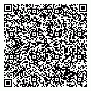 vCard 79131177111