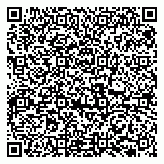 vCard 79131177181