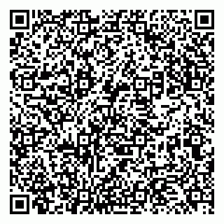 vCard 79131177294
