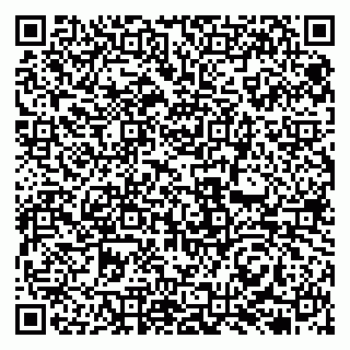 vCard 79131177331