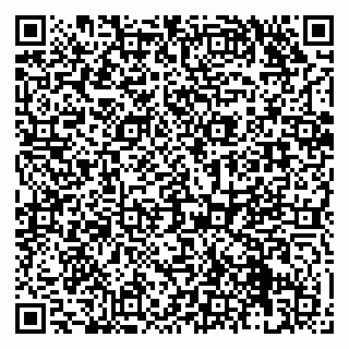 vCard 79131178221