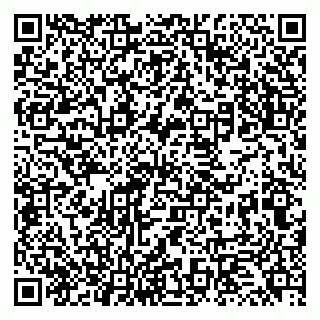 vCard 79131178294