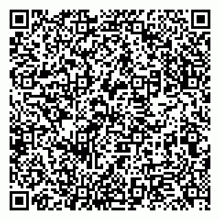vCard 79131178331