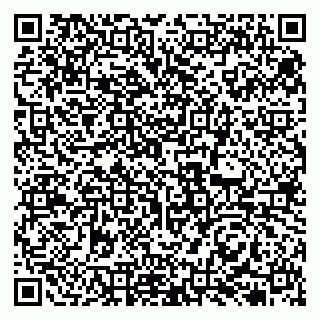 vCard 79131178339