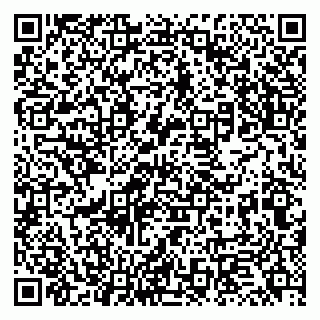 vCard 79131178377
