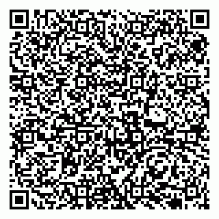 vCard 79131179005