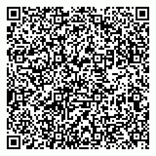 vCard 79131179080