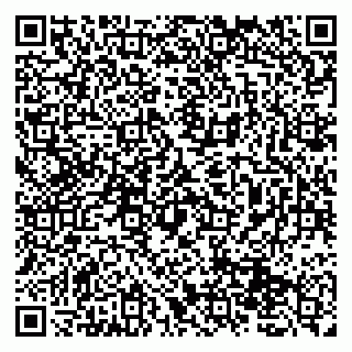 vCard 79131179203
