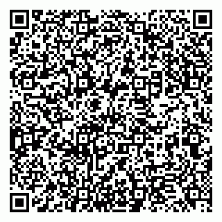 vCard 79131179331