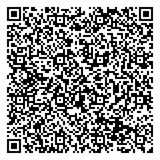 vCard 79131179489