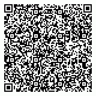 vCard 79131179750