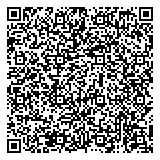 vCard 79131179751