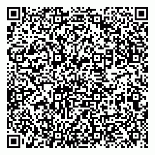 vCard 79131179819