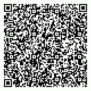 vCard 79131180025