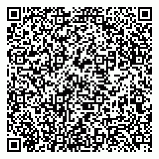 vCard 79131180294