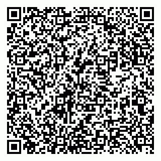 vCard 79131180296