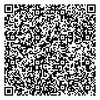 vCard 79131180314