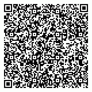 vCard 79131180331
