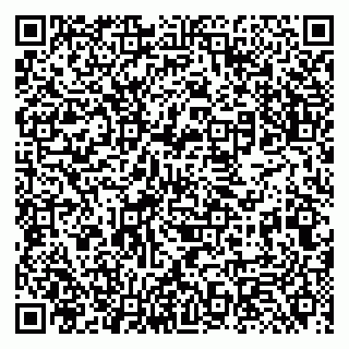 vCard 79131180337