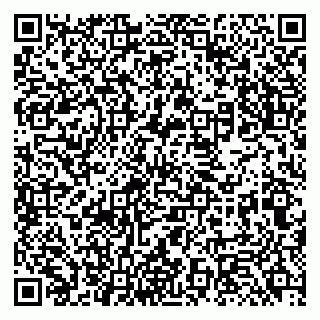 vCard 79131180353