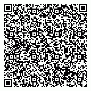 vCard 79131180418