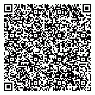 vCard 79131180489