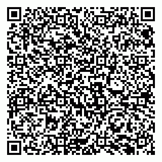vCard 79131180596