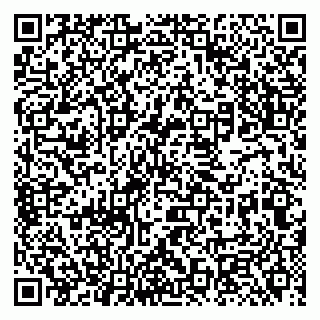 vCard 79131180732