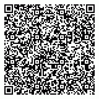 vCard 79131181007