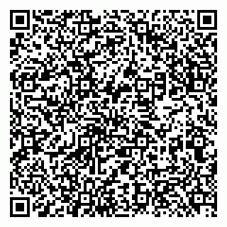 vCard 79131181069