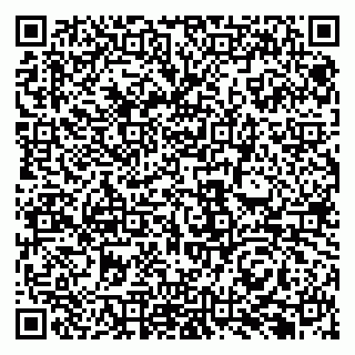 vCard 79131181237