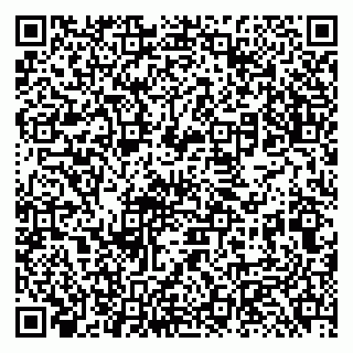 vCard 79131182001