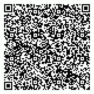 vCard 79131182002