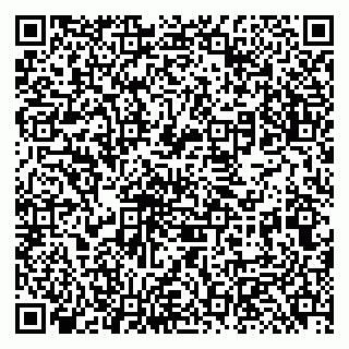 vCard 79131182003